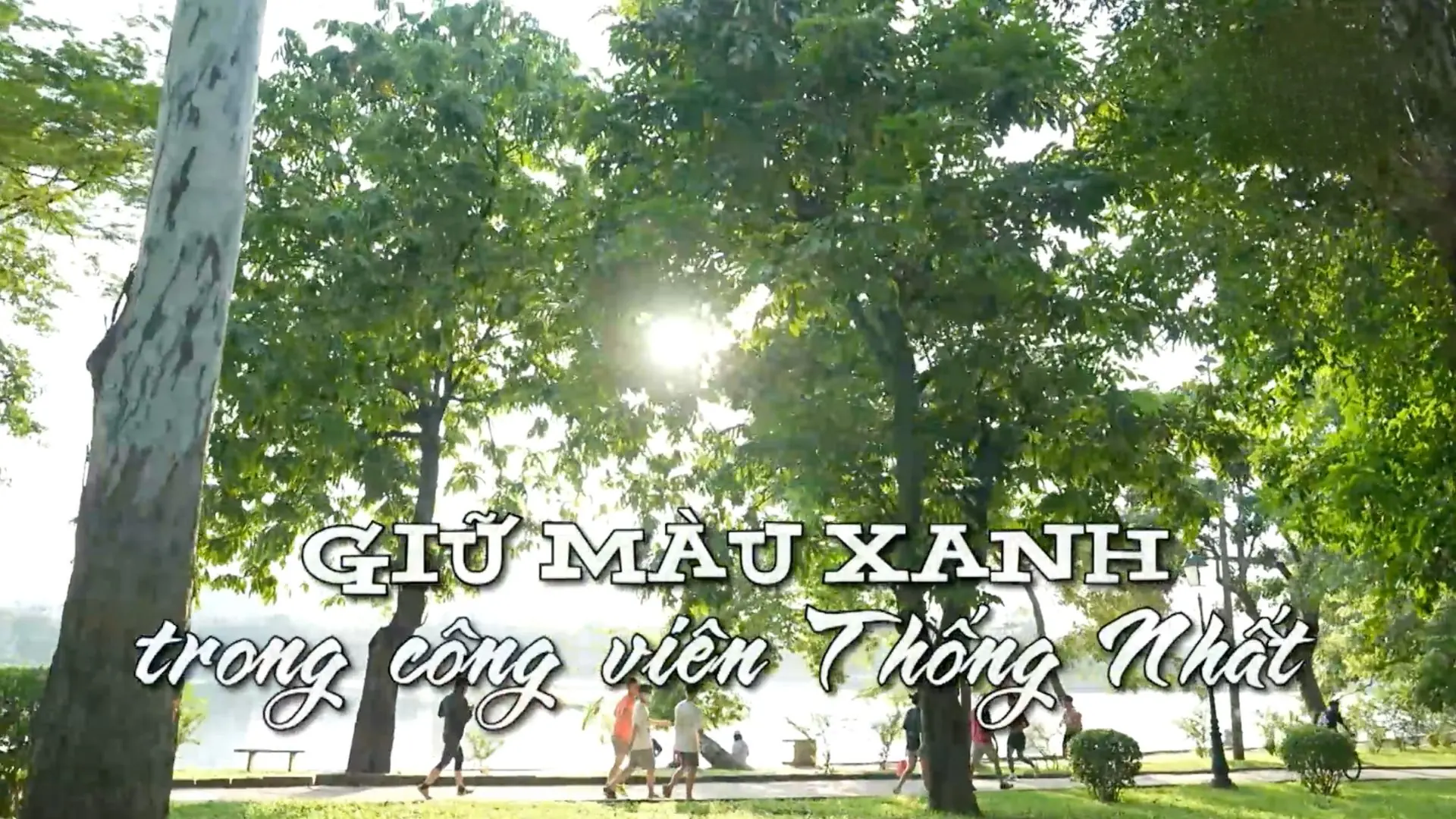 Giữ màu xanh trong Công viên Thống Nhất | Nhịp sống Hà Nội | 04/09/2025